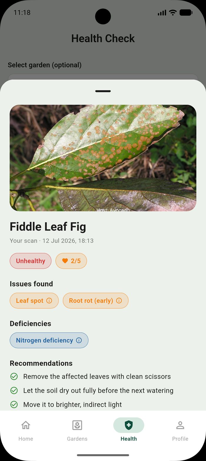 A health check result
